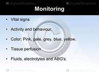 Monitoring
• Vital signs
• Activity and behaviour.
• Color; Pink, pale, grey, blue, yellow.
• Tissue perfusion

• Fluids, electrolytes and ABG's.

 