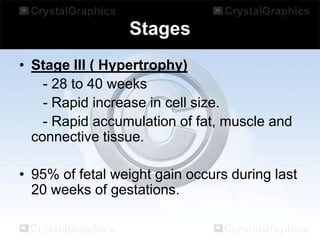Stages
• Stage III ( Hypertrophy)
- 28 to 40 weeks
- Rapid increase in cell size.
- Rapid accumulation of fat, muscle and
connective tissue.
• 95% of fetal weight gain occurs during last
20 weeks of gestations.

 