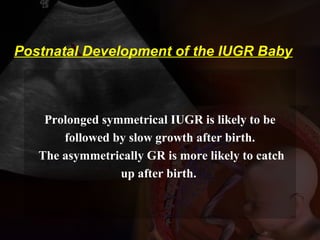 Prolonged symmetrical IUGR is likely to be
followed by slow growth after birth.
The asymmetrically GR is more likely to catch
up after birth.
Postnatal Development of the IUGR Baby
 