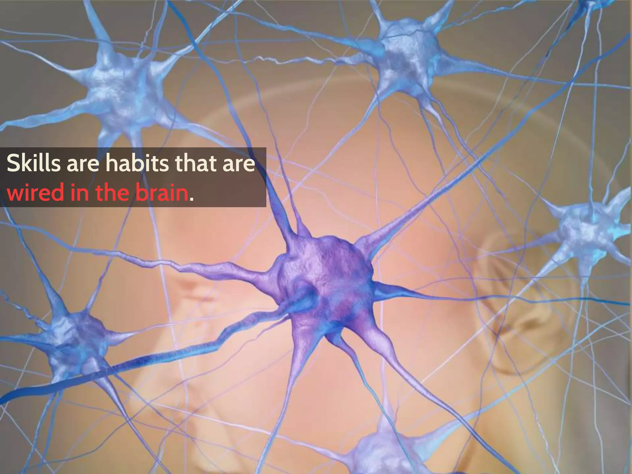 Skills are habits that are
wired in the brain.
 