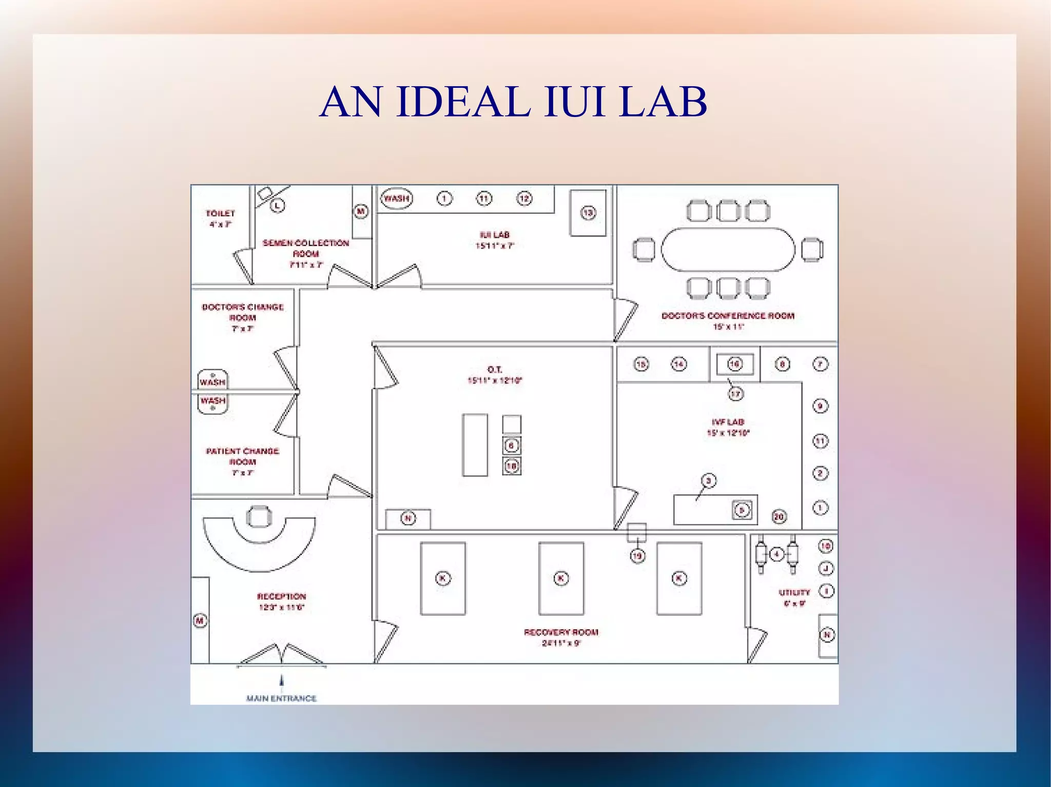 Intra Uterine Insemination | ODP