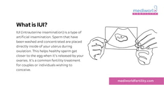 Full Iui Report.pdf IUI Pregnancy.pdf