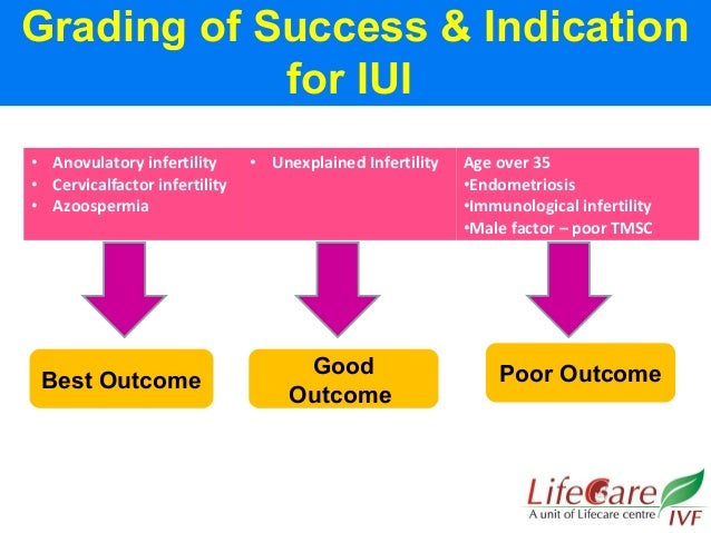 intrauterine insemination update 2018 iui success
