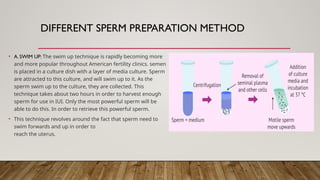 DIFFERENT SPERM PREPARATION METHOD
• A. SWIM UP: The swim up technique is rapidly becoming more
and more popular throughout American fertility clinics. semen
is placed in a culture dish with a layer of media culture. Sperm
are attracted to this culture, and will swim up to it. As the
sperm swim up to the culture, they are collected. This
technique takes about two hours in order to harvest enough
sperm for use in IUI. Only the most powerful sperm will be
able to do this. In order to retrieve this powerful sperm.
• This technique revolves around the fact that sperm need to
swim forwards and up in order to
reach the uterus.
 