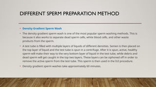 • Density Gradient Sperm Wash
• The density gradient sperm wash is one of the most popular sperm washing methods. This is
because it also works to separate dead sperm cells, white blood cells, and other waste
products from the sperm.
• A test tube is filled with multiple layers of liquids of different densities. Semen is then placed on
the top layer of liquid and the test tube is spun in a centrifuge. After it is spun, active, healthy
sperm will make their way to the very bottom layer of liquid in the test tube, while debris and
dead sperm will get caught in the top two layers. These layers can be siphoned off in order to
remove the active sperm from the test tube. This sperm is then used in the IUI procedure.
• Density gradient sperm washes take approximately 60 minutes.
DIFFERENT SPERM PREPARATION METHOD
 