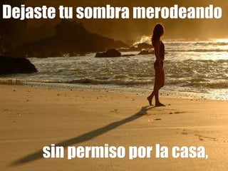 Dejaste tu sombra merodeando   sin permiso por la casa,   