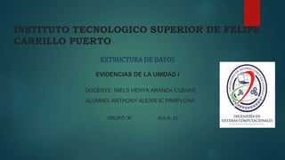 INSTITUTO TECNOLOGICO SUPERIOR DE FELIPE 
CARRILLO PUERTO 
EXTRUCTURA DE DATOS 
EVIDENCIAS DE LA UNIDAD I 
DOCENTE: NIELS HENYK ARANDA CUEVAS 
ALUMNO: ANTHONY ALEXIS IC PAMPLONA 
GRUPO “A” AULA: J3 
 