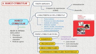 4. MARCO CURRICULAR
MARCO
CURRICULAR
VISIÓN AMPLIADA
CARACTERÍSTICAS DEL CURRÍCULO
DISEÑO CURRICULAR DE EBA
Conjunto de experiencias
(CEBA)
sistematización
desarrollo
• Visión holística
• Promueve la interculturalidad
• Cuidado del ambiente
• Fomentar equidad
• Abierto, flexible, diversificable
• Orientado por competencia
• Gestión emprendedora
• Competencias
• Aprendizajes a logros
ELEMENTOS
ORGANIZACIÓN
ÁREAS CURRICULARES
• Ciclo inicial
• Ciclo intermedio
• Ciclo avanzado
CONTENIDOS CURRICULARES TRANSVERSALES
RIGEN AL SISTEMA
EDUCATIVO
• Principios
• Aprendizajes
esperados
• Perfil de egreso
documento
 
