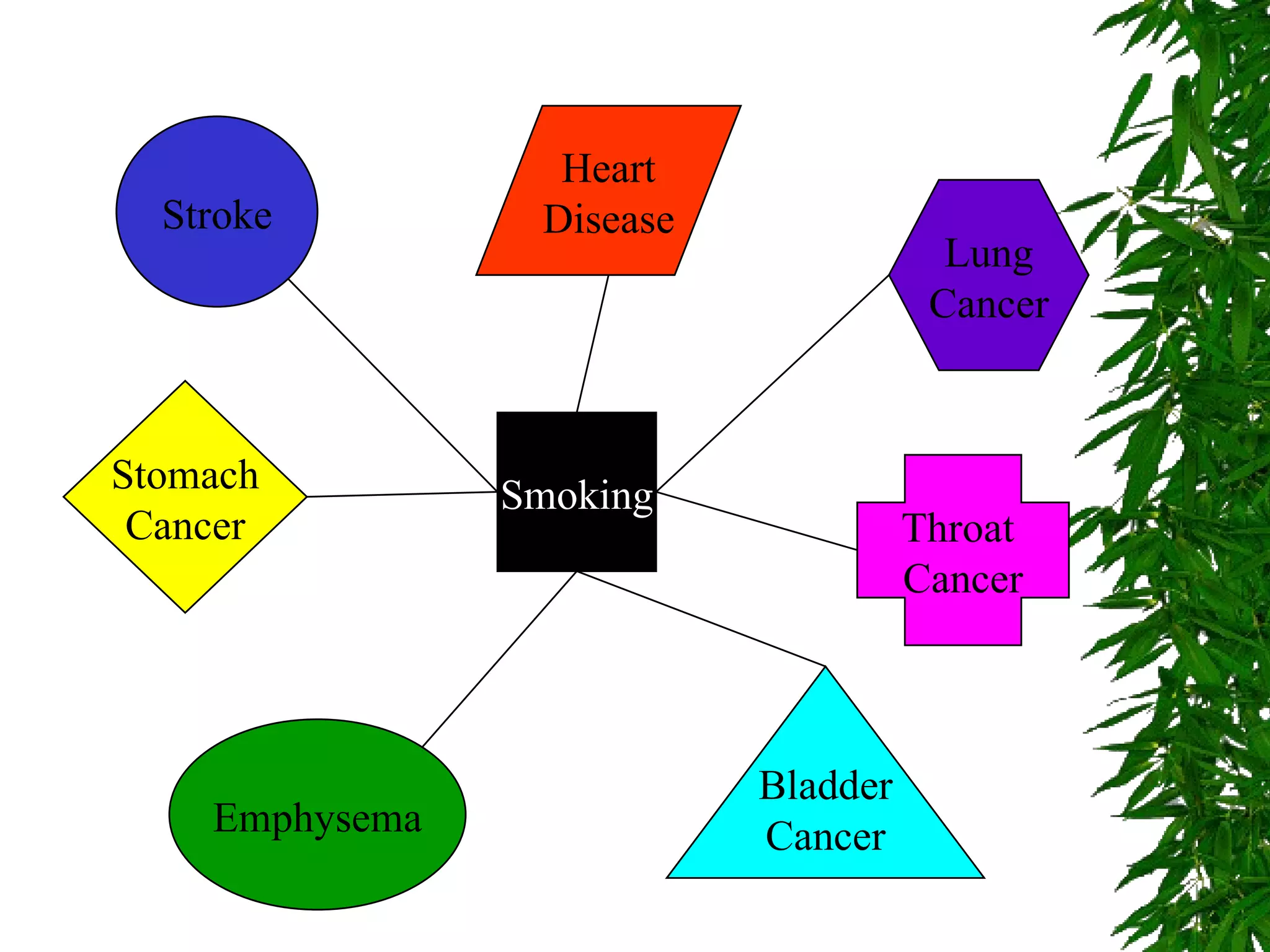 Smoking Stroke Lung Cancer Stomach Cancer Throat  Cancer Emphysema Heart Disease Bladder Cancer 