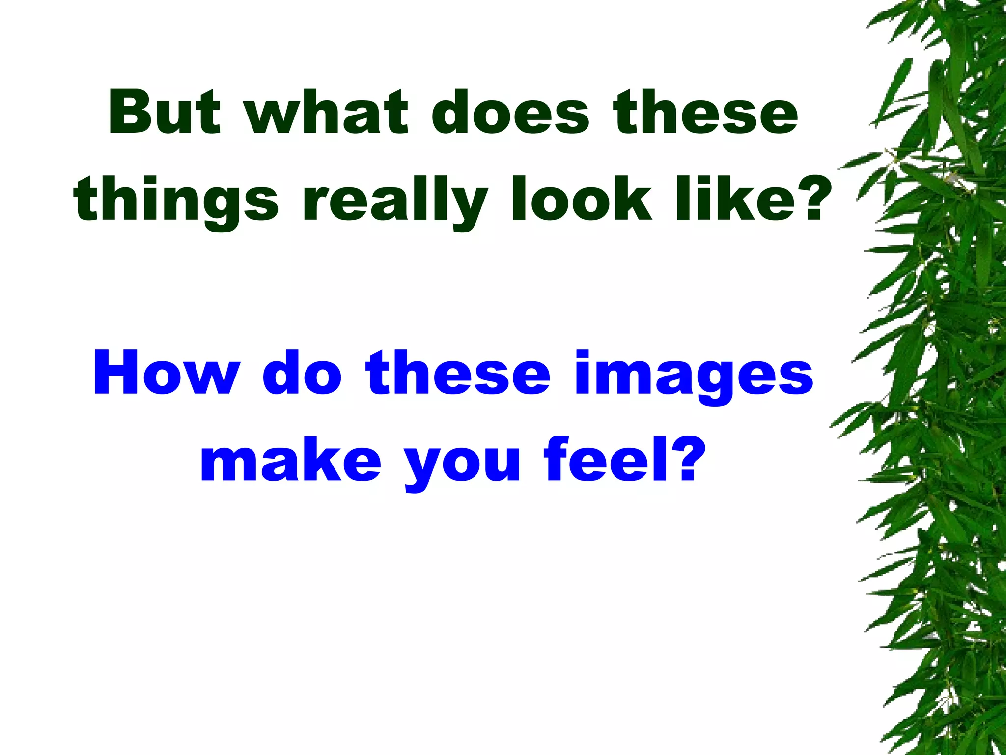 But what does these things really look like? How do these images make you feel? 