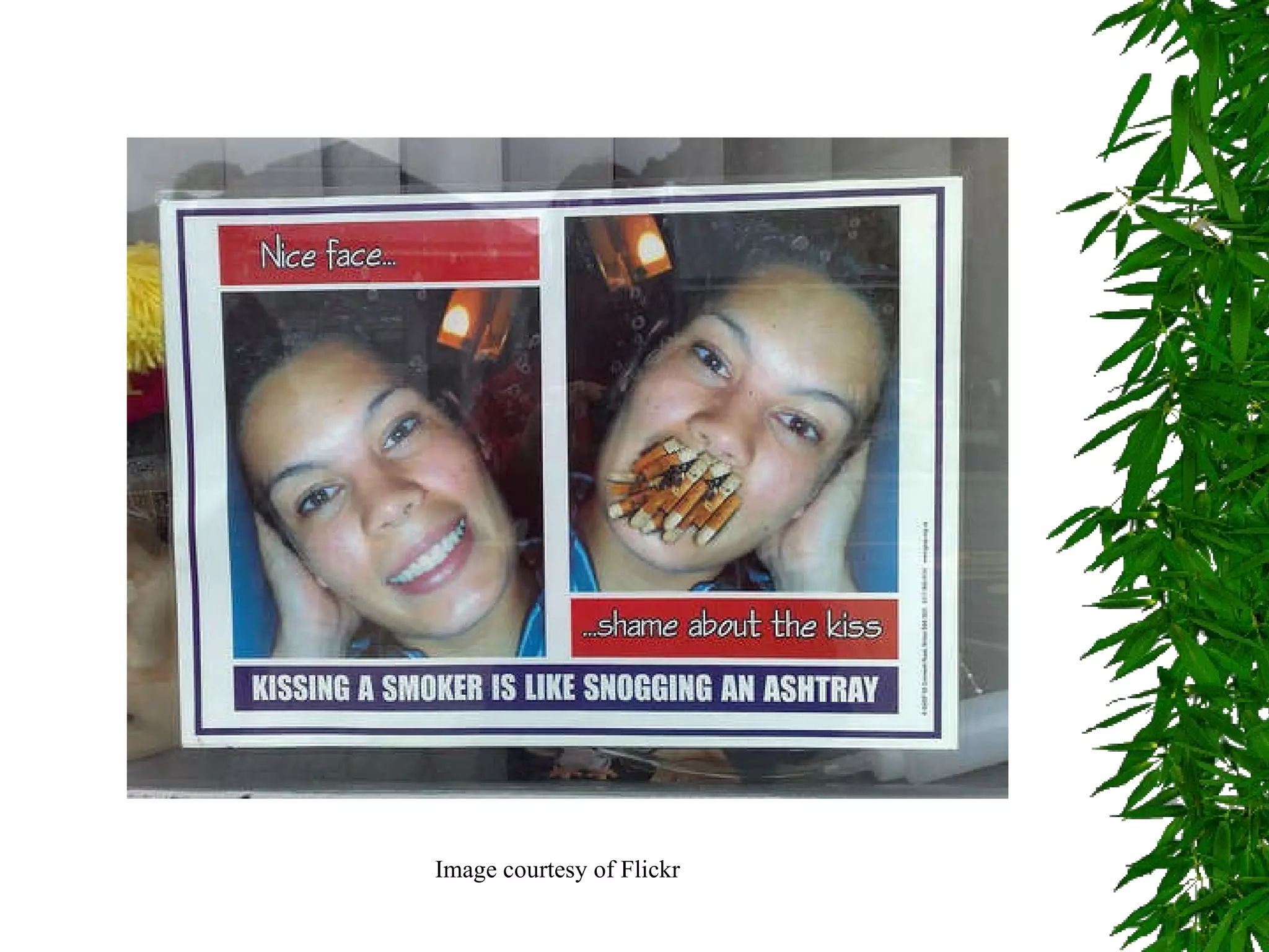 Image courtesy of Flickr 