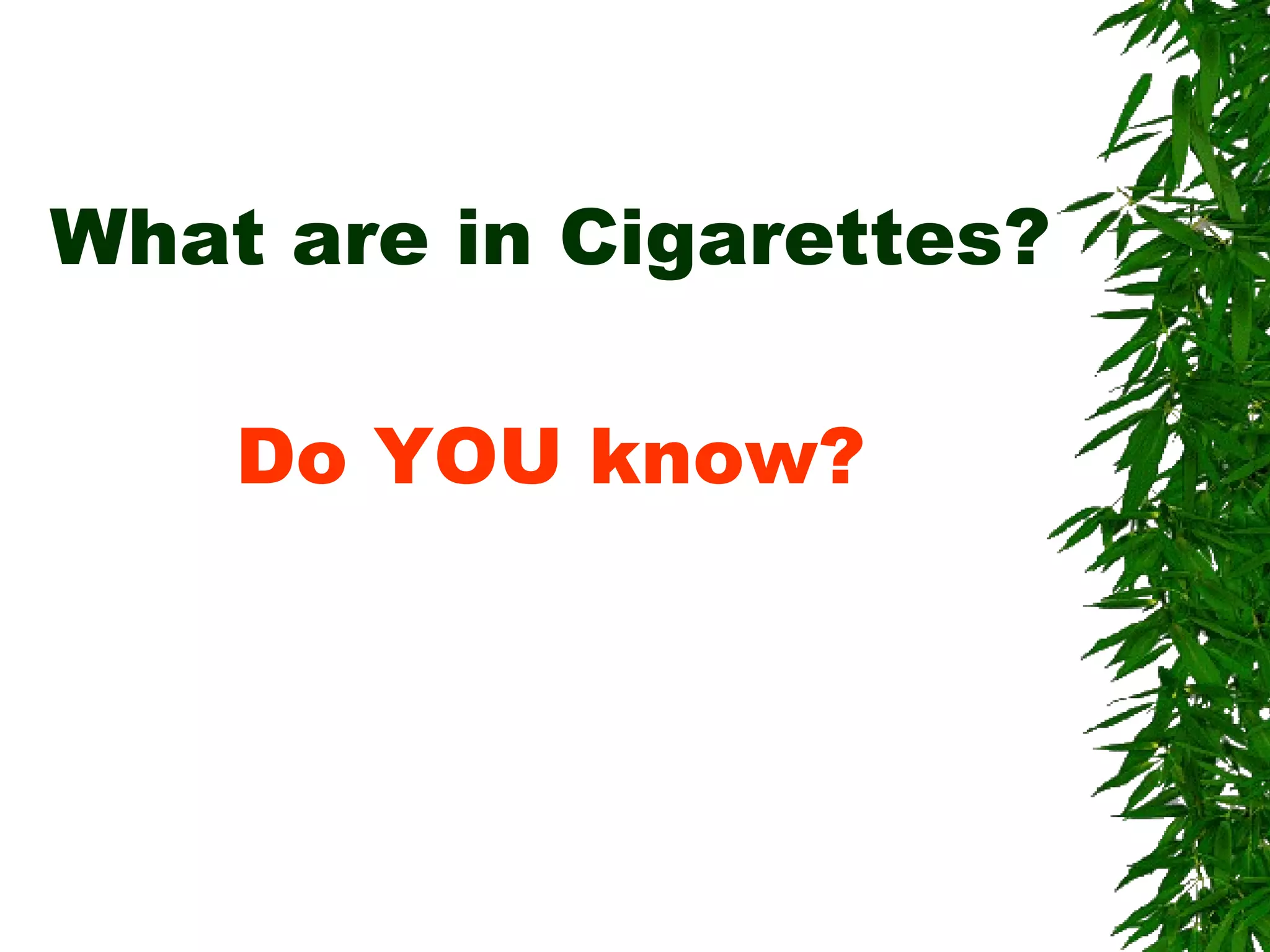 What are in Cigarettes? Do YOU know? 