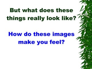 But what does these things really look like? How do these images make you feel? 