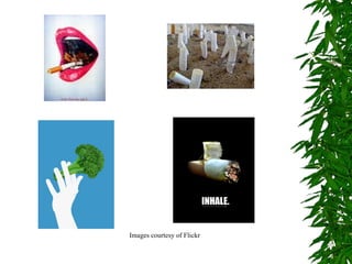 Images courtesy of Flickr 