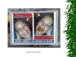 Image courtesy of Flickr 