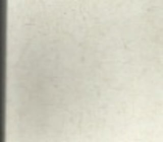 Os conceitos de Salma Khan há 40 anos