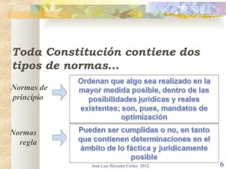 Toda Constitución contiene dos
tipos de normas...
Normas de
principio



Normas
  regla

            José Luis Silvestre Cortez 2012   6
 