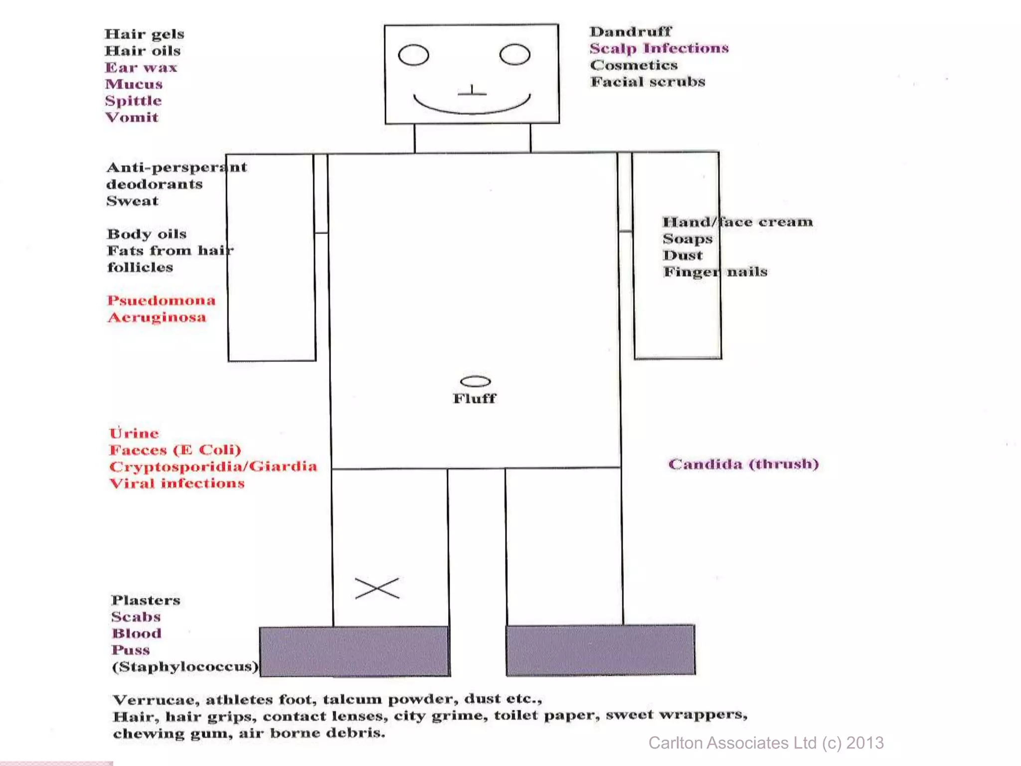 9
99
Carlton Associates Ltd (c) 2013
 