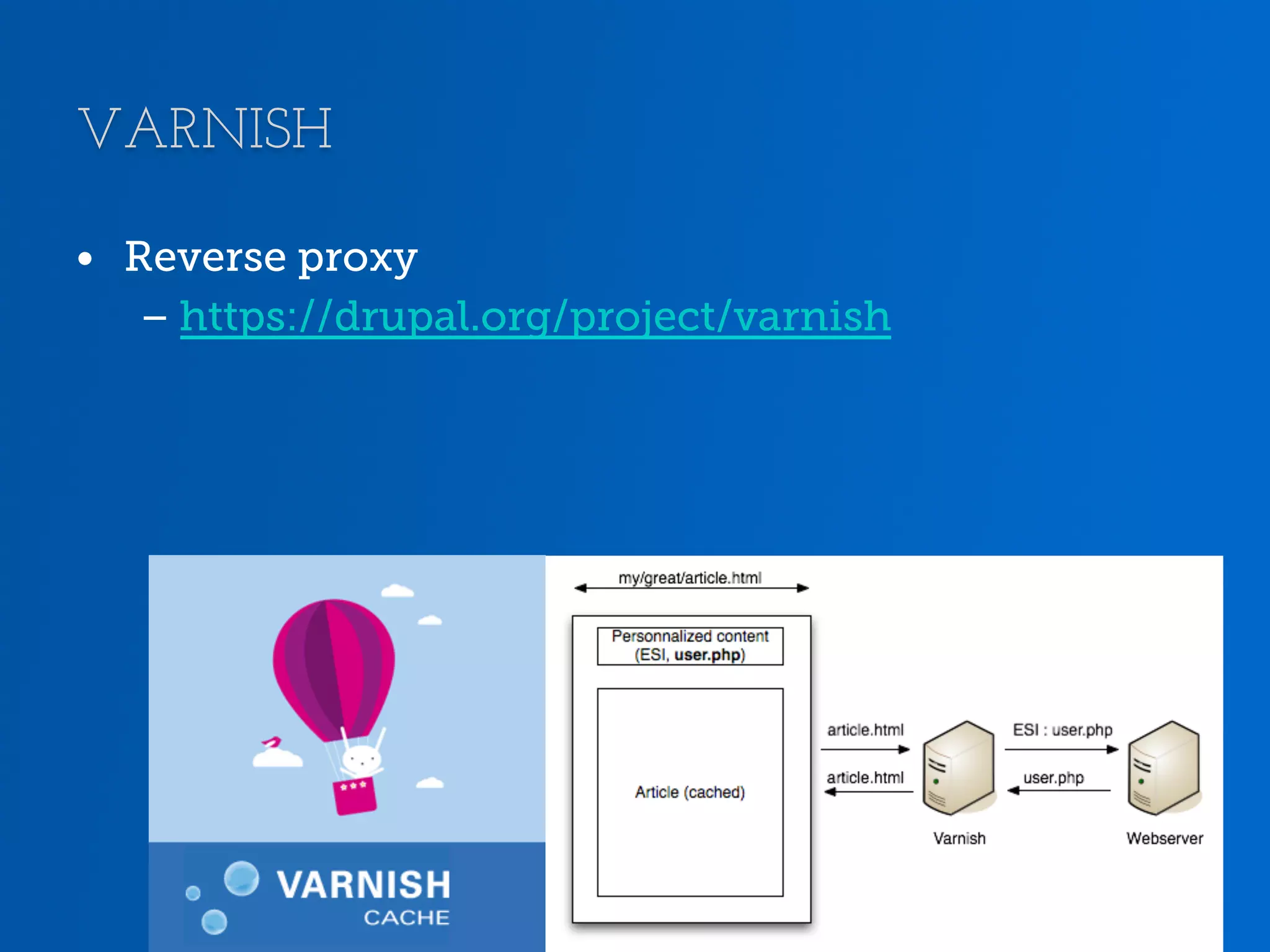 VARNISH •  Reverse proxy – https://drupal.org/project/varnish 