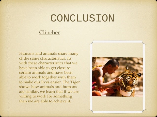 Meredithspringfield Releases Case Study For Medicaldental An Essay Essay On Protection Of Tigers St Century Tiger Essay Thesis Statement Example also High School Essay Example Essay On Health