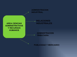 ADMINISTRACION
                  INDUSTRIAL



                     RELACIONES
 AREA CIENCIAS       INDUSTRIALES
ADMINISTRATIVAS
  Y RECURSOS
   HUMANOS
                      ADMINISTRACION
                      TRIBUTARIA




                    PUBLICIDAD Y MERCADEO
 