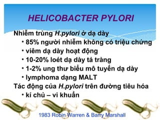 HELICOBACTER PYLORI
Nhiễm trùng H.pylori ở dạ dày
• 85% người nhiễm không có triệu chứng
• viêm dạ dày hoạt động
• 10-20% loét dạ dày tá tràng
• 1-2% ung thư biểu mô tuyến dạ dày
• lymphoma dạng MALT
Tác động của H.pylori trên đường tiêu hóa
• kí chủ – vi khuẩn
1983 Robin Warren & Barry Marshall
 