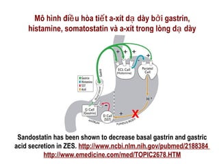 Mô hình đi u hòa ti t a-xít d dày b i gastrin,ề ế ạ ở
histamine, somatostatin và a-xít trong lòng d dàyạ
Sandostatin has been shown to decrease basal gastrin and gastric
acid secretion in ZES. http://www.ncbi.nlm.nih.gov/pubmed/2188384
http://www.emedicine.com/med/TOPIC2678.HTM
X
 