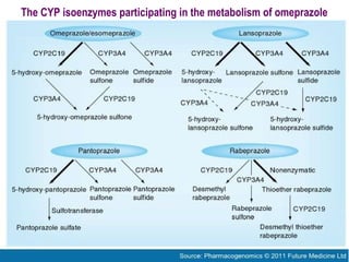 The CYP isoenzymes participating in the metabolism of omeprazole
 