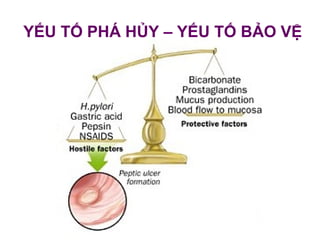 YẾU TỐ PHÁ HỦY – YẾU TỐ BẢO VỆ
 