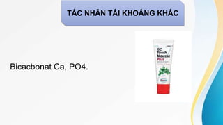 Bicacbonat Ca, PO4.
TÁC NHÂN TÁI KHOÁNG KHÁC
 