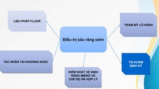 LIỆU PHÁP FLUOR
TÁC NHÂN TÁI KHOÁNG KHÁC
KIỂM SOÁT VỆ SINH
RĂNG MIỆNG VÀ
CHẾ ĐỘ ĂN HỢP LÝ
TÁI KHÁM
ĐỊNH KỲ
TRÁM BÍT LỖ RÃNH
Điều trị sâu răng sớm
 