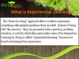 What is Experiential Learning
 