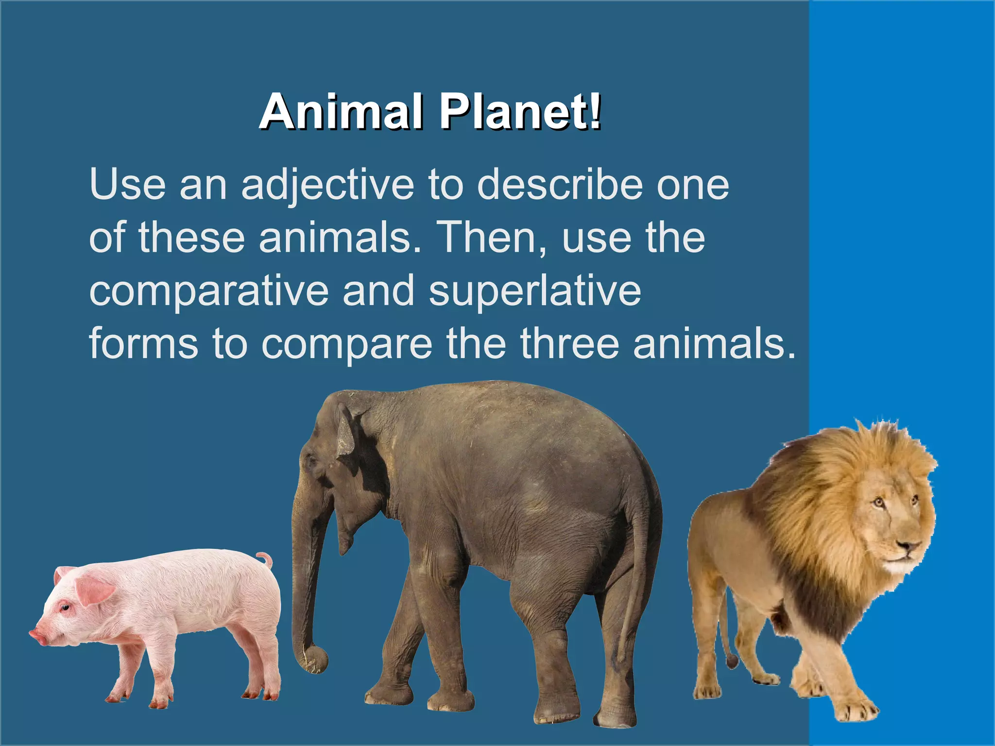 Animal Planet!Animal Planet!
Use an adjective to describe one
of these animals. Then, use the
comparative and superlative
forms to compare the three animals.
 
