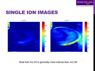 SINGLE ION IMAGES
m/z 23
0
20
40
60
80
100
m/z 39
0
10
20
30
40
50
60
70
Note that m/z 23 is generally more intense than m/z 39
 