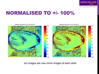 NORMALISED TO +/- 100%
Relative amounts of m/z 23 and 39
-100
-80
-60
-40
-20
0
20
40
60
80
100
Relative amounts of m/z 39 and 23
-100
-80
-60
-40
-20
0
20
40
60
80
100
Ion images are now mirror images of each other
 