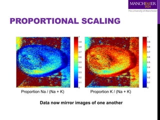 JCV ratio: m/z 39/(23+39)
0
0.1
0.2
0.3
0.4
0.5
0.6
0.7
0.8
0.9
1
JCV ratio: m/z 23/(23+39)
0
0.1
0.2
0.3
0.4
0.5
0.6
0.7
0.8
0.9
1
PROPORTIONAL SCALING
Proportion Na / (Na + K) Proportion K / (Na + K)
Data now mirror images of one another
 