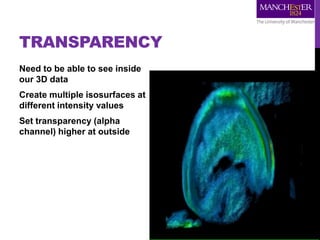 TRANSPARENCY
Need to be able to see inside
our 3D data
Create multiple isosurfaces at
different intensity values
Set transparency (alpha
channel) higher at outside
 