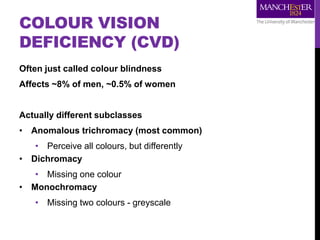 COLOUR VISION
DEFICIENCY (CVD)
Often just called colour blindness
Affects ~8% of men, ~0.5% of women
Actually different subclasses
• Anomalous trichromacy (most common)
• Perceive all colours, but differently
• Dichromacy
• Missing one colour
• Monochromacy
• Missing two colours - greyscale
 