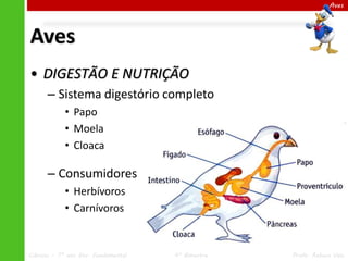 Aves

Aves
• DIGESTÃO E NUTRIÇÃO
– Sistema digestório completo
• Papo
• Moela
• Cloaca

– Consumidores
• Herbívoros
• Carnívoros

Ciências – 7º ano Ens. Fundamental

4º Bimestre

Profa. Rebeca Vale

 