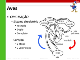 Aves

Aves
• CIRCULAÇÃO
– Sistema circulatório
• Fechado
• Duplo
• Completo

– Coração
• 2 átrios
• 2 ventrículos

Ciências – 7º ano Ens. Fundamental

4º Bimestre

Profa. Rebeca Vale

 