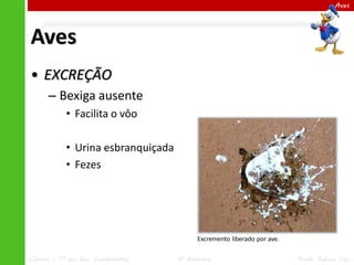 Aves

Aves
• EXCREÇÃO
– Bexiga ausente
• Facilita o vôo
• Urina esbranquiçada
• Fezes

Excremento liberado por ave.
Ciências – 7º ano Ens. Fundamental

4º Bimestre

Profa. Rebeca Vale

 