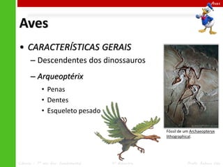 Aves

Aves
• CARACTERÍSTICAS GERAIS
– Descendentes dos dinossauros
– Arqueoptérix
• Penas
• Dentes
• Esqueleto pesado
Fóssil de um Archaeopteryx
lithographical.

Ciências – 7º ano Ens. Fundamental

4º Bimestre

Profa. Rebeca Vale

 