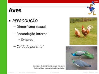 Aves

Aves
• REPRODUÇÃO
– Dimorfismo sexual
– Fecundação interna
• Ovíparos

– Cuidado parental

Exemplos de dimorfismo sexual nas aves:
Galinha/Galo (acima) e Pavão (ao lado).
Ciências – 7º ano Ens. Fundamental

4º Bimestre

Profa. Rebeca Vale

 