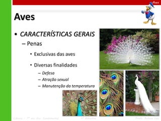 Aves

Aves
• CARACTERÍSTICAS GERAIS
– Penas
• Exclusivas das aves
• Diversas finalidades
– Defesa
– Atração sexual
– Manutenção da temperatura

Ciências – 7º ano Ens. Fundamental

4º Bimestre

Profa. Rebeca Vale

 
