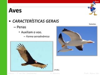 Aves

Aves
• CARACTERÍSTICAS GERAIS
– Penas

Gaivotas.

• Auxiliam o voo.
– Forma aerodinâmica

Urubu.
Ciências – 7º ano Ens. Fundamental

4º Bimestre

Profa. Rebeca Vale

 