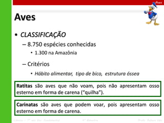 Aves

Aves
• CLASSIFICAÇÃO
– 8.750 espécies conhecidas
• 1.300 na Amazônia

– Critérios
• Hábito alimentar, tipo de bico, estrutura óssea
Ratitas são aves que não voam, pois não apresentam osso
esterno em forma de carena (“quilha”).
Carinatas são aves que podem voar, pois apresentam osso
esterno em forma de carena.
Ciências – 7º ano Ens. Fundamental

4º Bimestre

Profa. Rebeca Vale

 