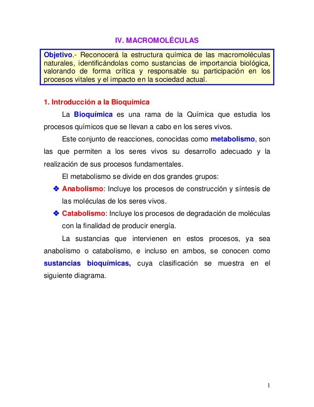 Iv. macromoléculas Iv. macromoléculas