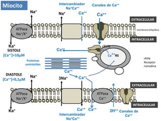 Iv.11. manejo farmacologico del fallo cardiovascular | PDF