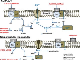 Iv.11. manejo farmacologico del fallo cardiovascular | PDF