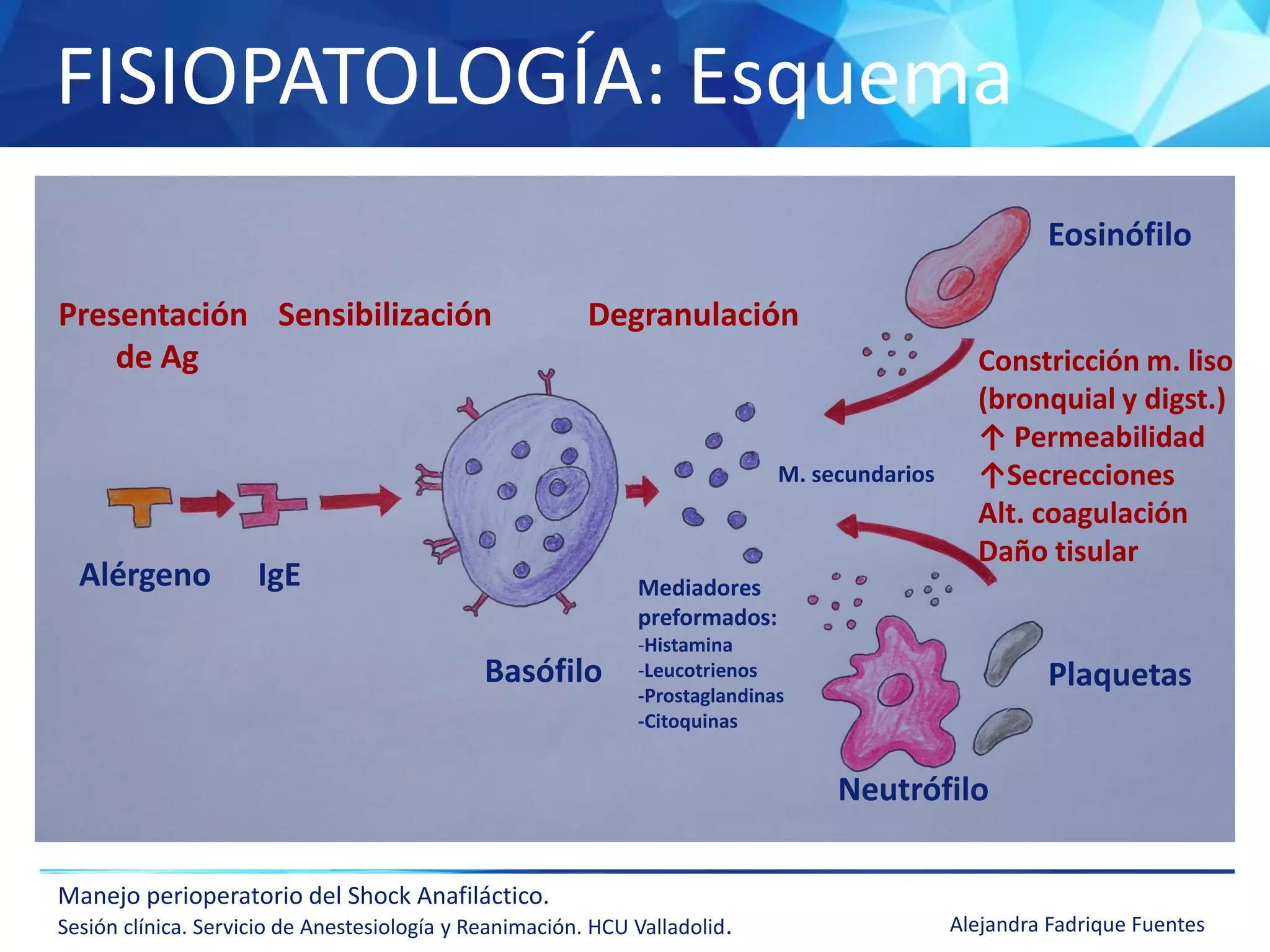 Iv.5. shock anafilactico | PDF